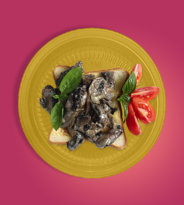 Plato Sólido No.5